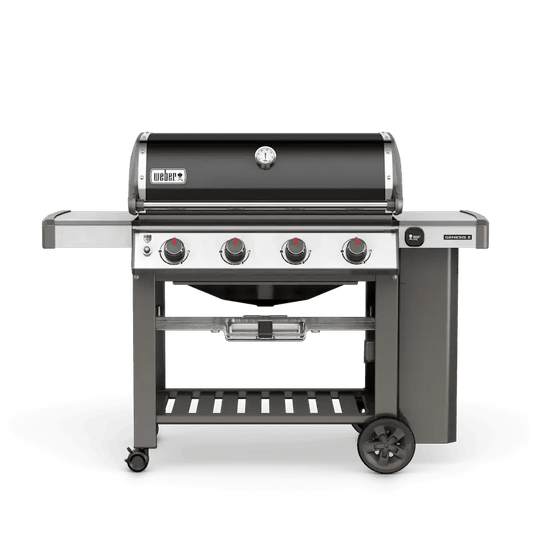 Weber Genesis II E-410 NGs - Prioka