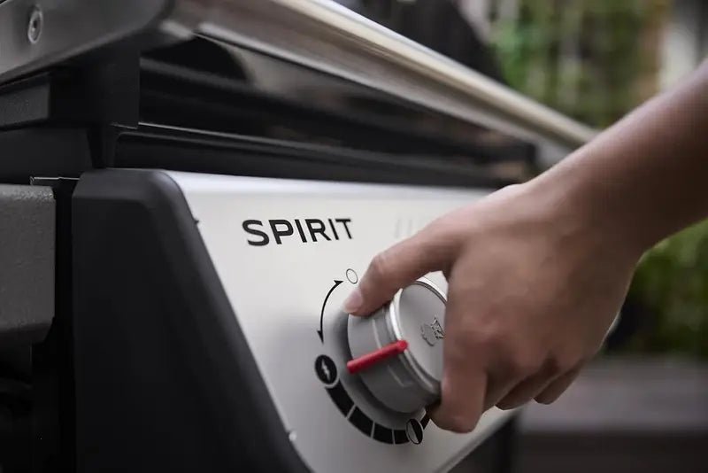 Weber SPIRIT 2-Burner Grills E-210 Liquid Propane Black - Prioka