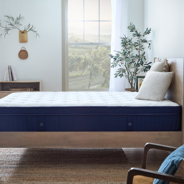 Weekender 11" Euro Top Hybrid Mattress - Prioka